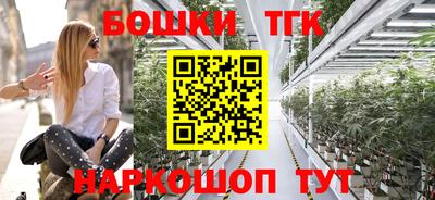 гидра Шелехов