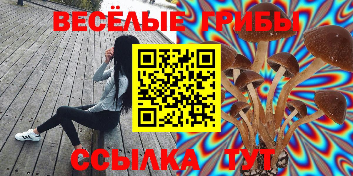 Меф МЯУ МЯУ   ГАШ  Конопля  КОКАИН  Лосино-Петровский  MDMA  Вход с VPN  Гашиш 