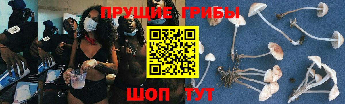 Лосино-Петровский  Галлюциногенные грибы Cubensis  Вход с VPN 
